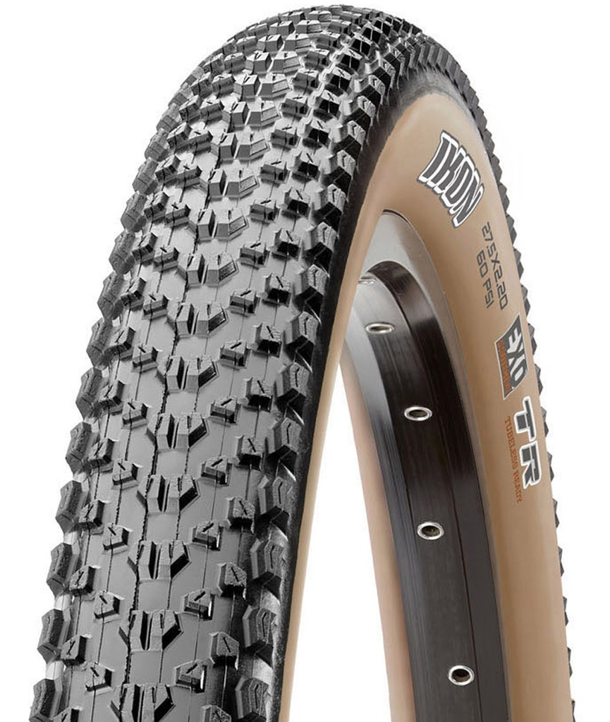 [TB00333000] MAXXIS Ikon 29x2.20 EXO TR Tanwall nero/para 60TPI pieghevole 3C MaxxSpeed